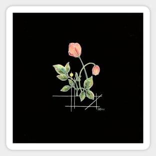 Tulips Sticker